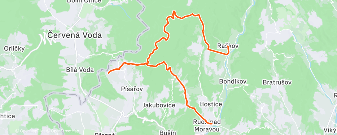 Карта физической активности (Morning Trail Run)