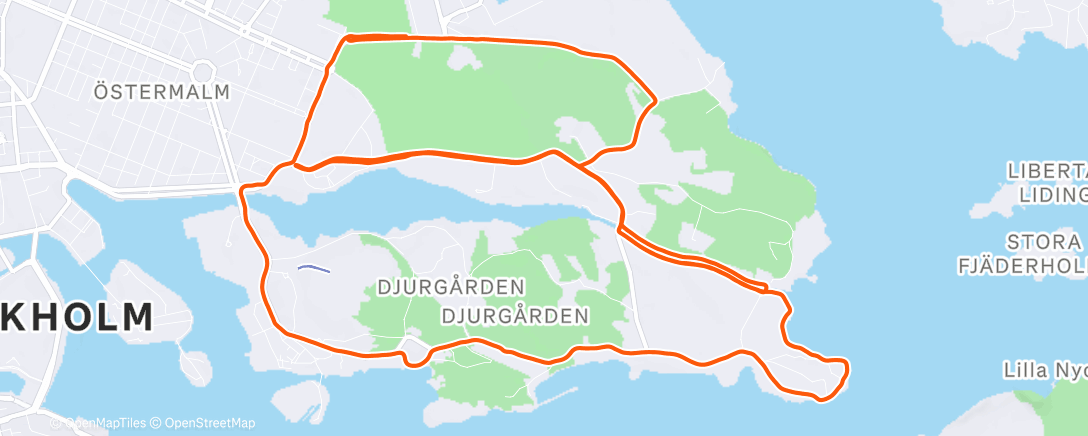 Карта физической активности (Morning Run)