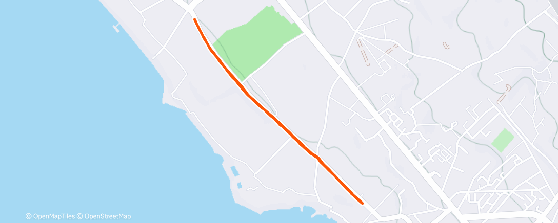 Карта физической активности (Corsa pomeridiana)