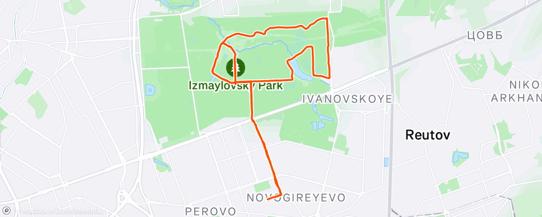 Map of the activity, Morning Run