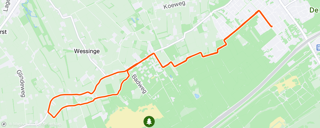 Map of the activity, Morning Run