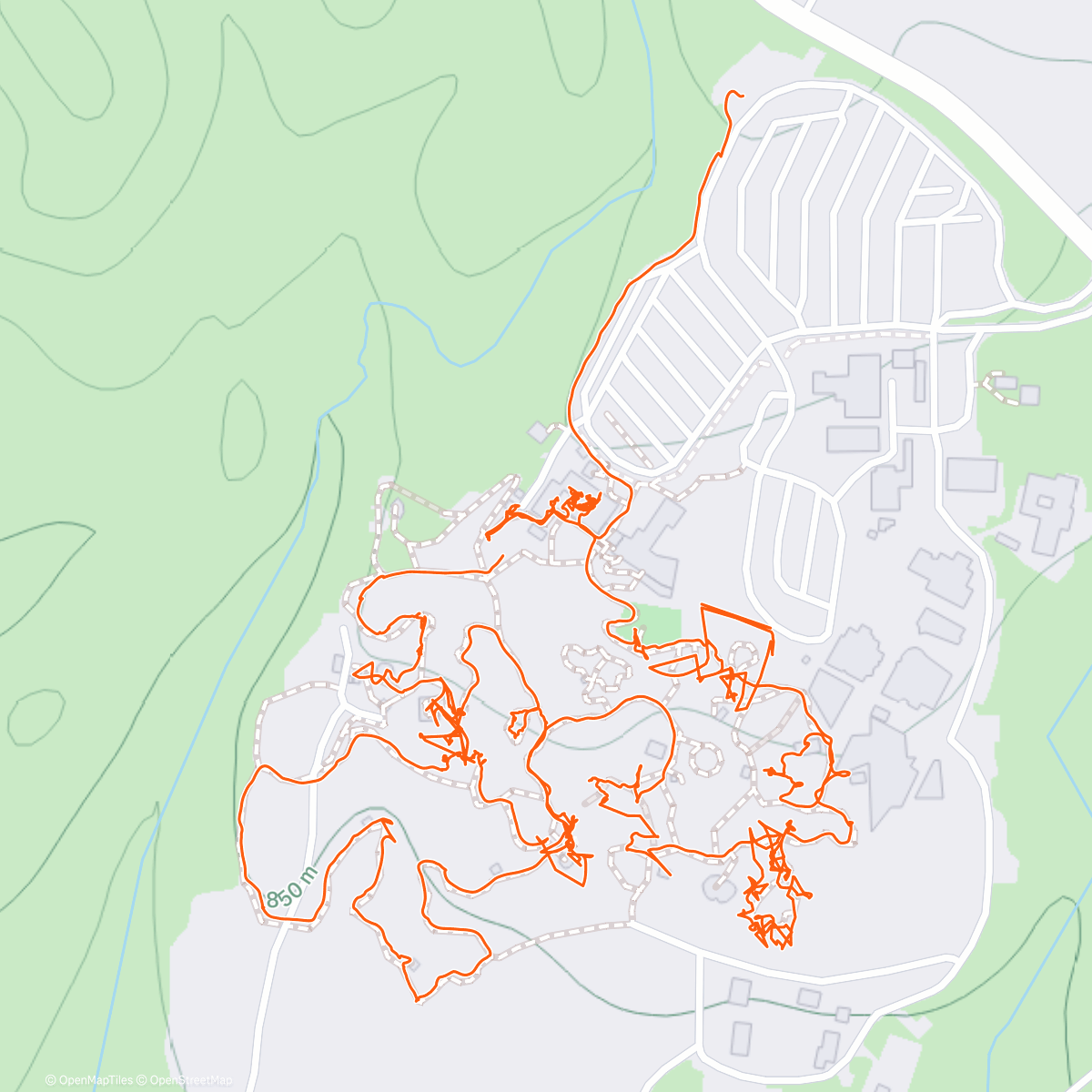 Map of the activity, Desert museum