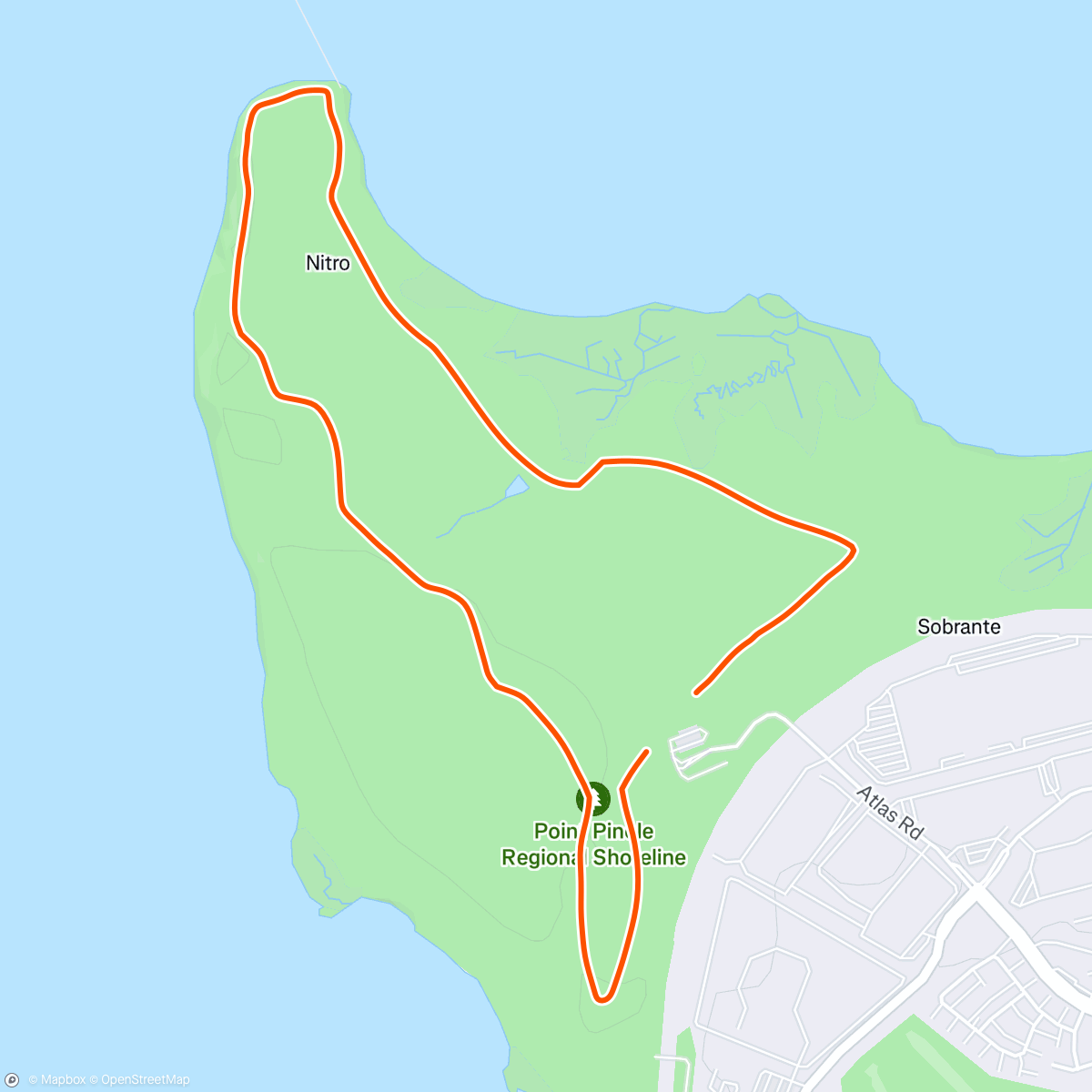 Strava 달리기 선수 프로필 | Alisha S, she/her