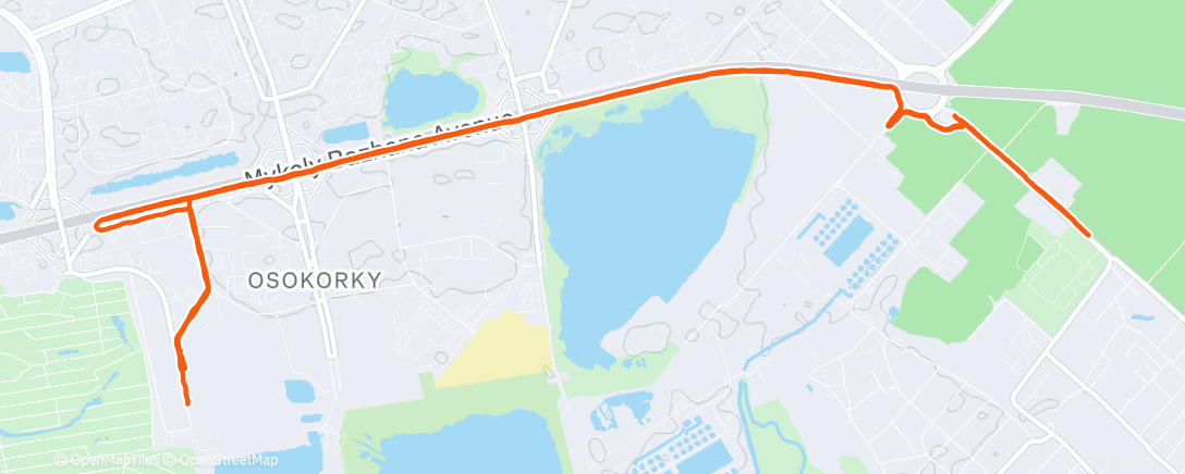 Карта физической активности (Afternoon Run)