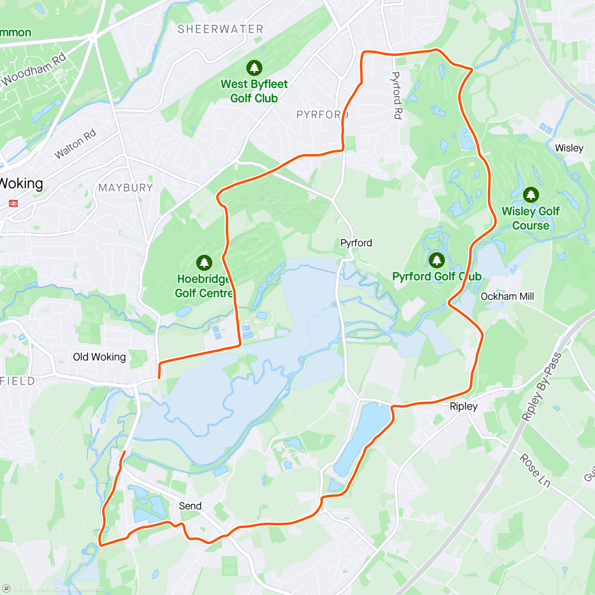 Map of the activity, Sunday Trails with Tracy - relatively flat today, as I’m still nursing that knee (and the Achilles, obviously).