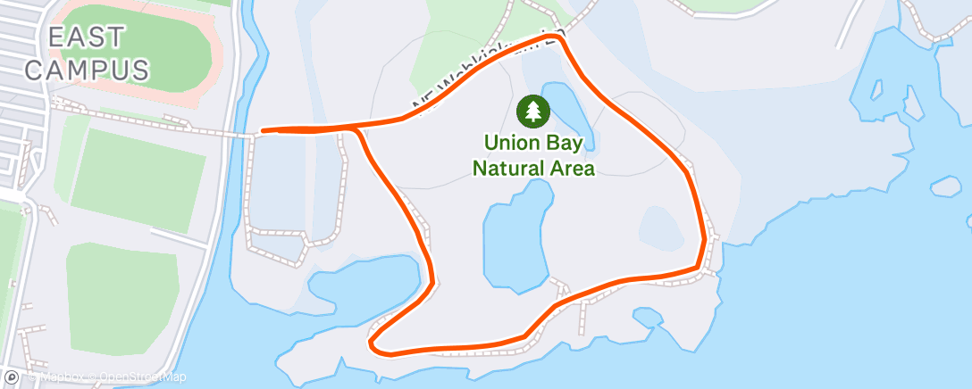 Map of the activity, Morning Run
