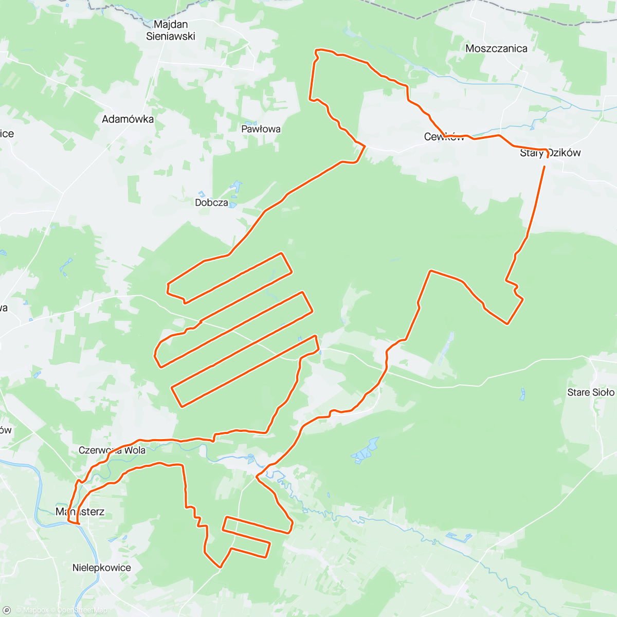 Map of the activity, Lasy Sieniawskie