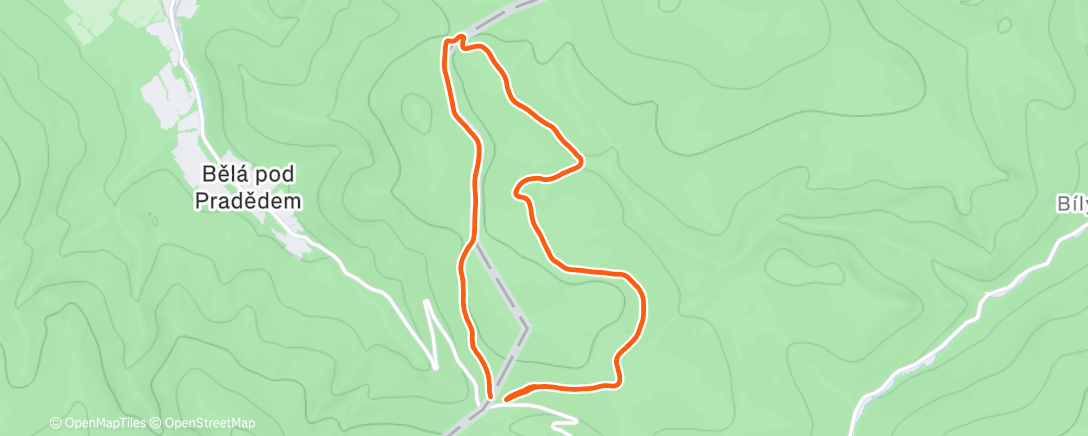 Карта физической активности (Lunch Run)