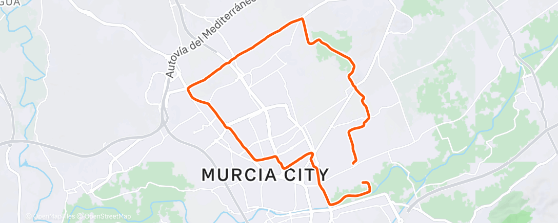 Карта физической активности (Last half marathon of 2025)