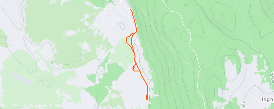 Карта физической активности (Afternoon Walk)