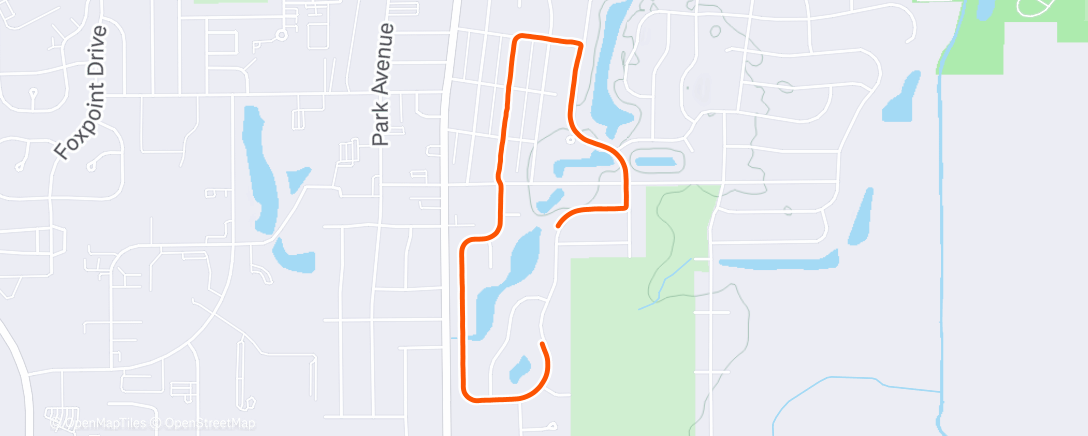 Map of the activity, Afternoon Walk