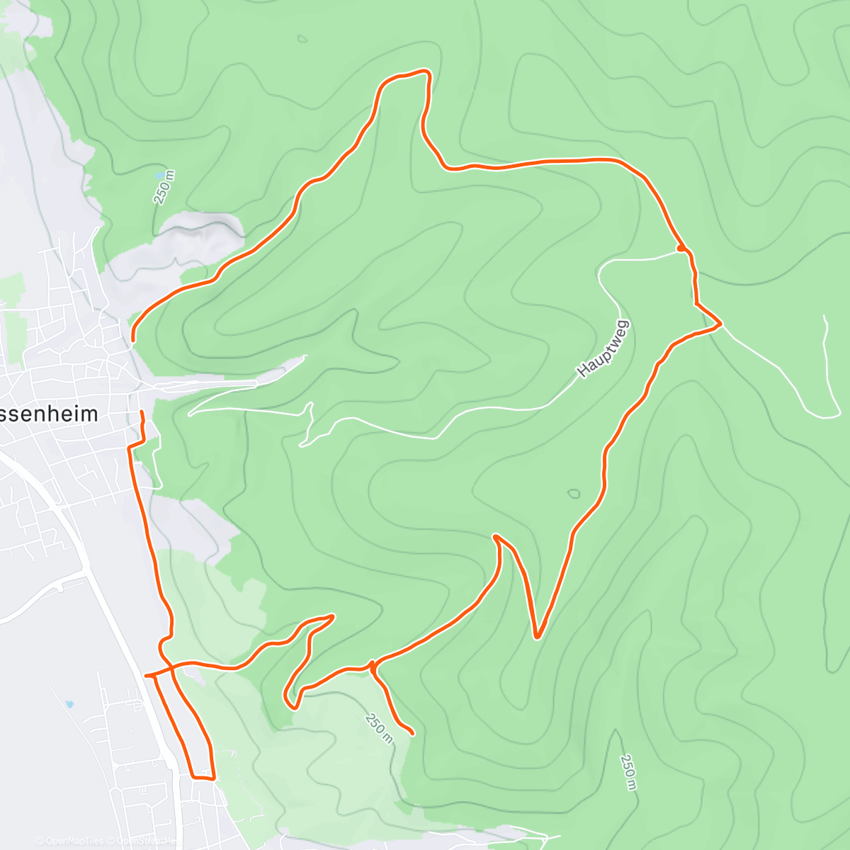 Карта физической активности (Dreißig dreißiger am dreißigsten 😵‍💫)