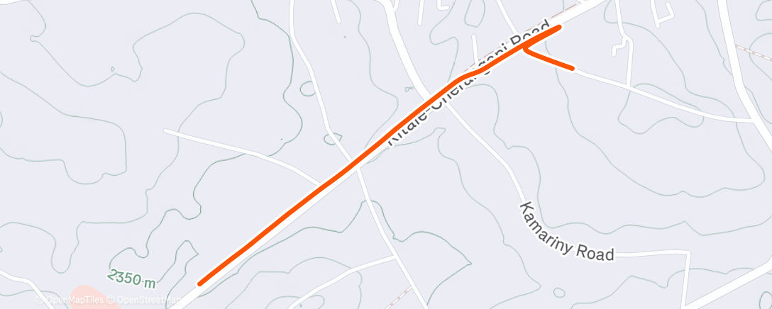 Map of the activity, Morning Run