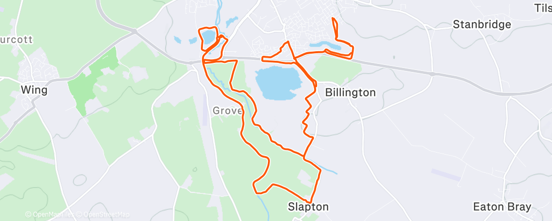 Карта физической активности (Morning Trail Run)