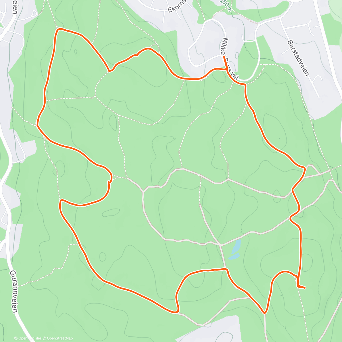 Map of the activity, Lunch Walk 🌞