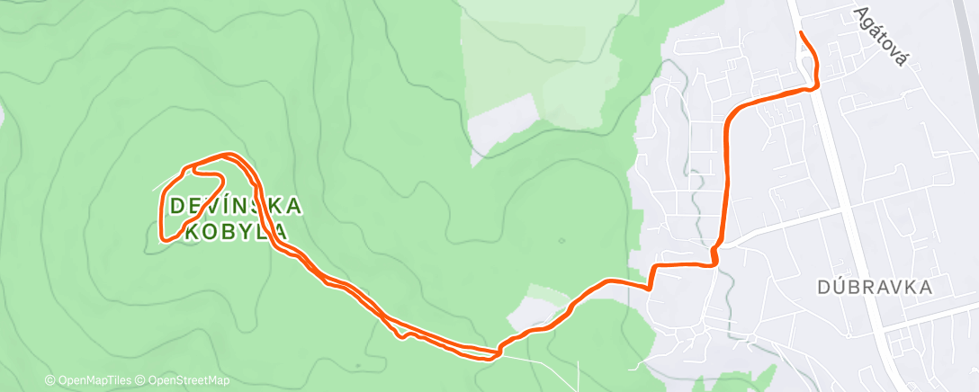 Map of the activity, Frozen Trail 👍 Run