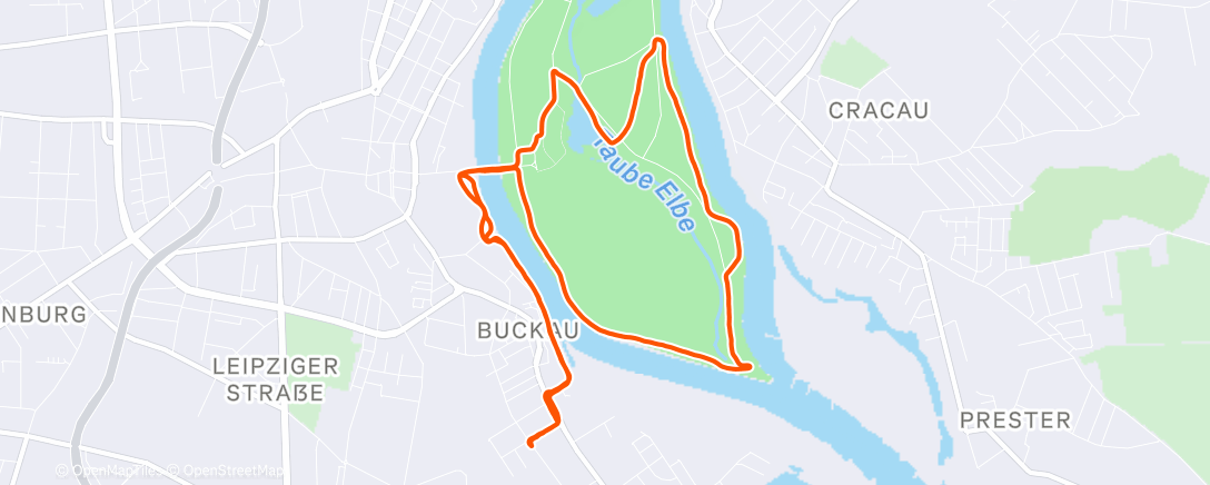 Карта физической активности (Moon Light Run)