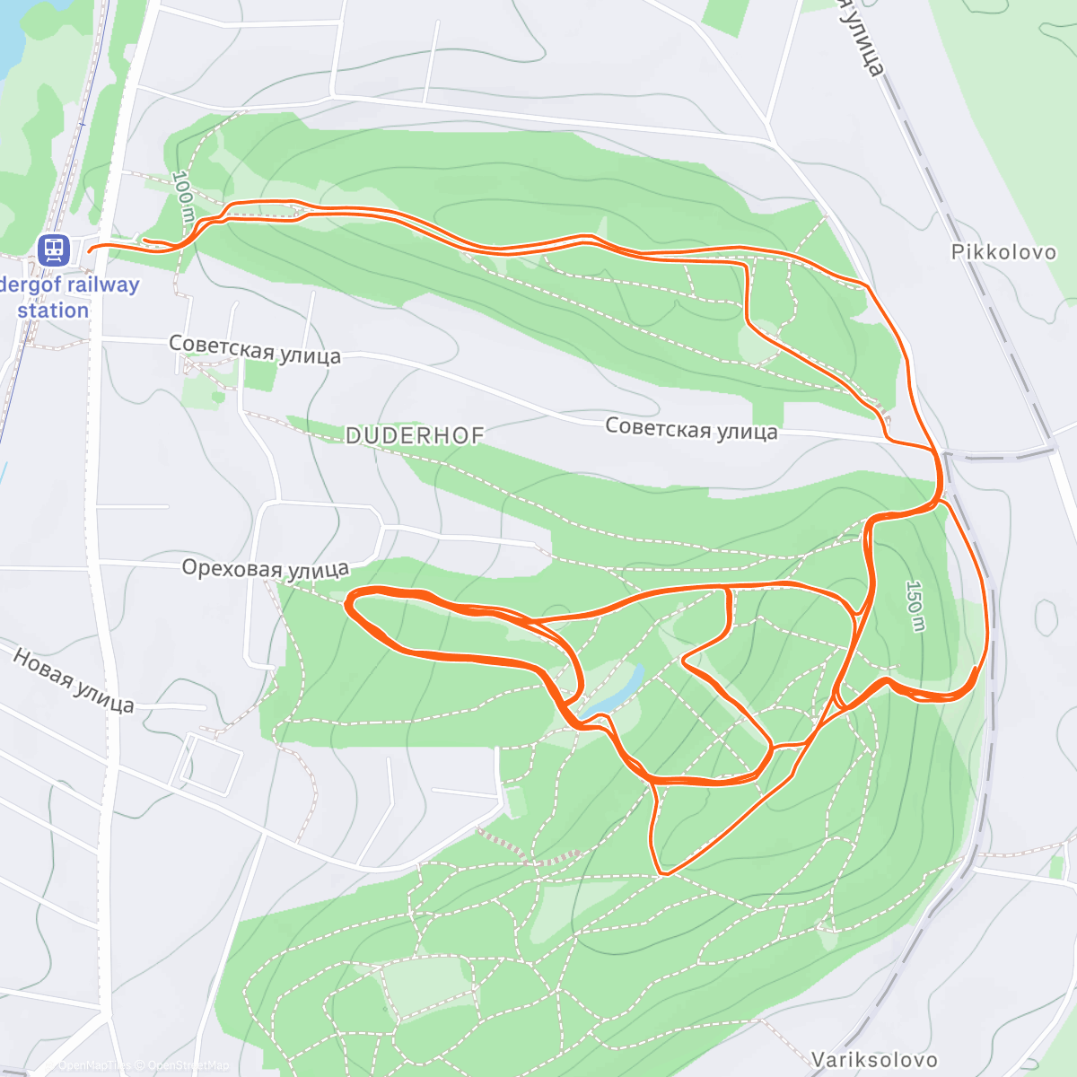 Карта физической активности (Lunch Trail Run)