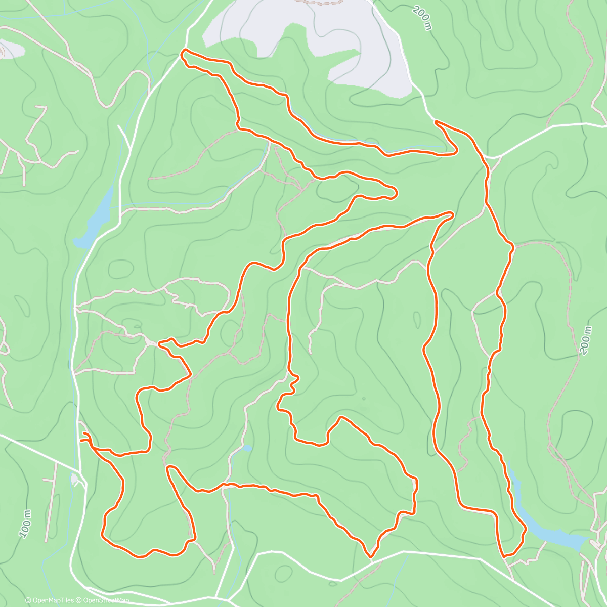 Map of the activity, Morning Trail Run