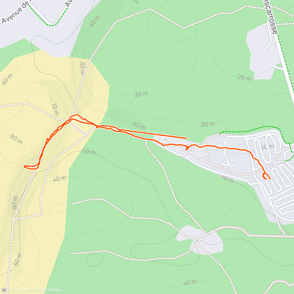 Map of the activity