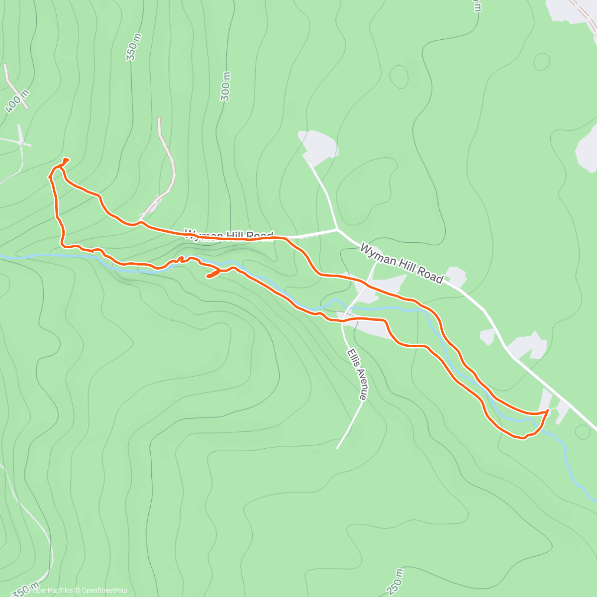 Map of the activity, Walk in the woods