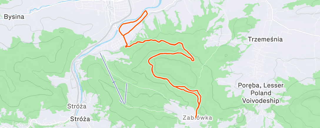 Карта физической активности (Evening Run)