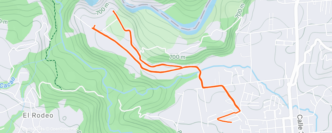 Карта физической активности (Entreno suave en los Ponys 🎠)