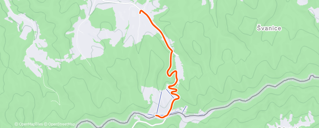 Карта физической активности (Afternoon Trail Run)