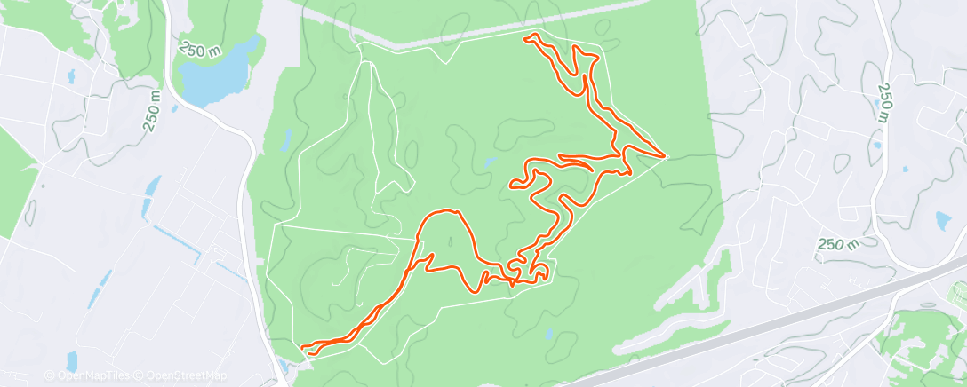 Map of the activity, Afternoon Run