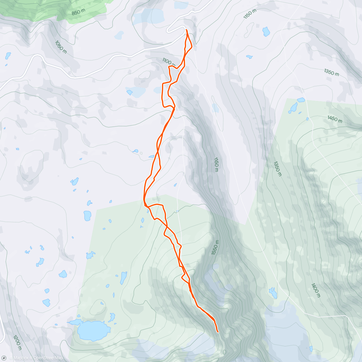 Map of the activity, Lauvnostind
