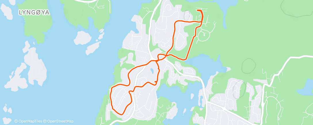 Map of the activity, Godt nytt år🎊