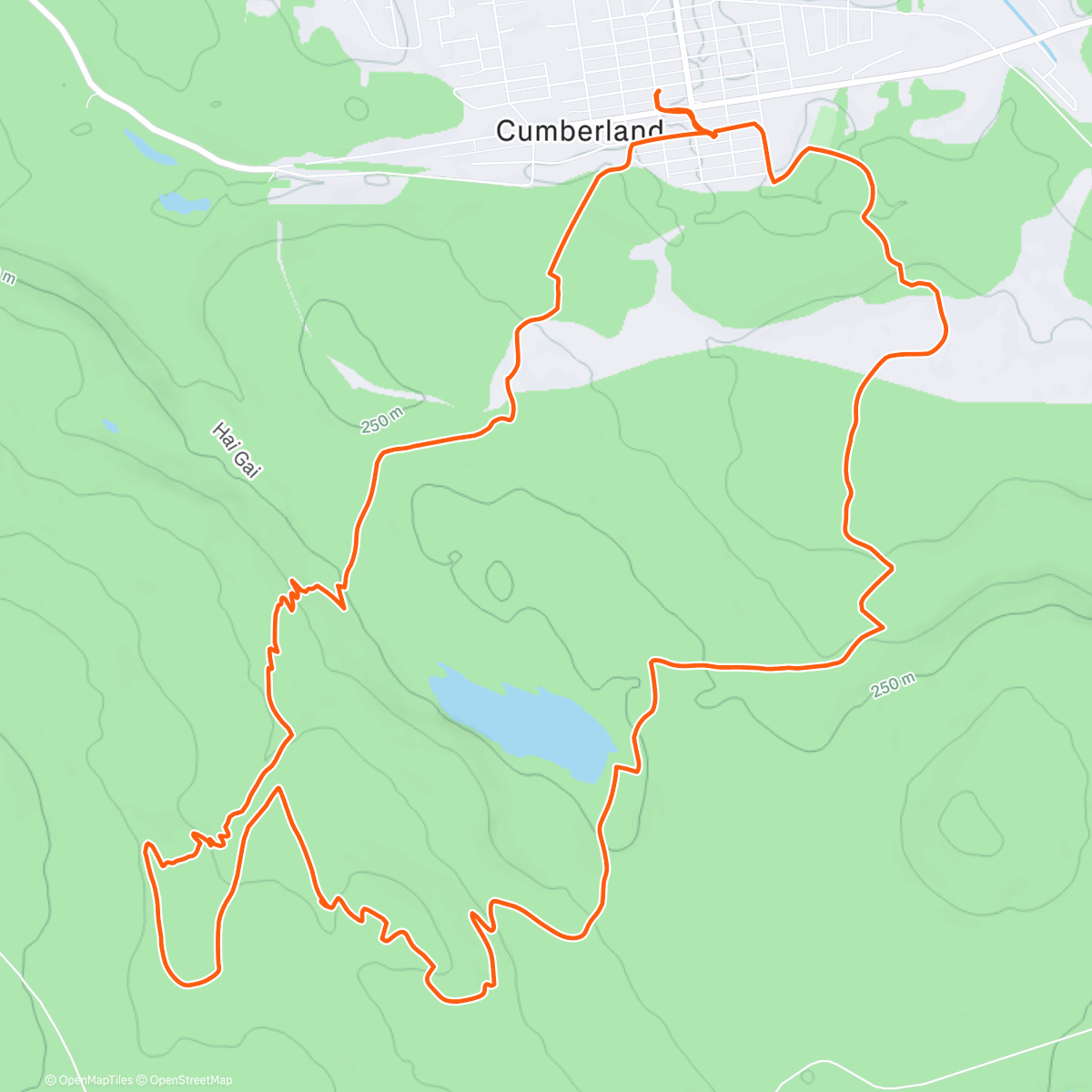 Карта физической активности (There’s snow stopping me now !)