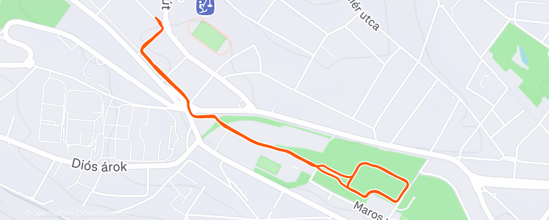 Map of the activity, Afternoon Run