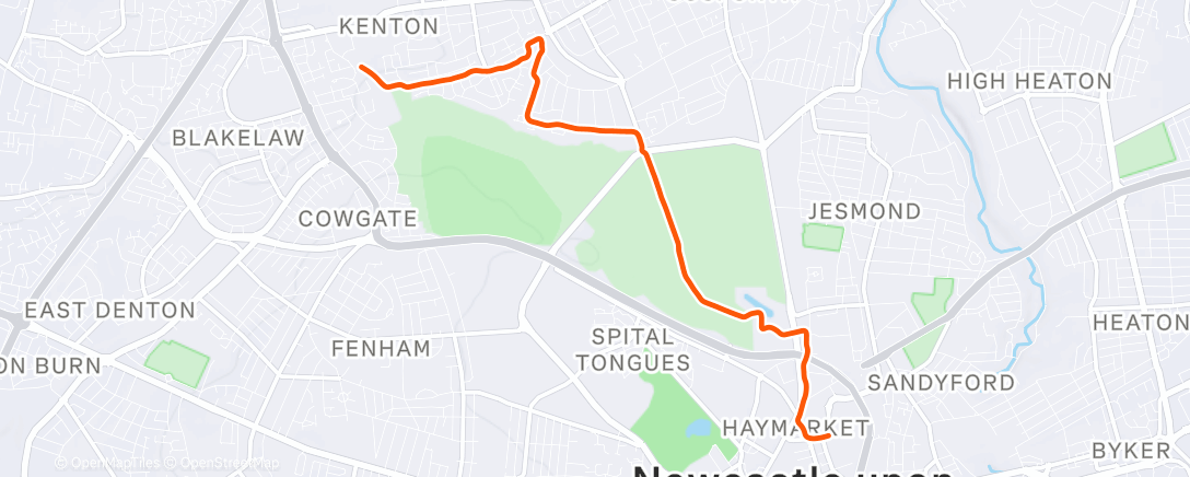 Map of the activity, Morning Run