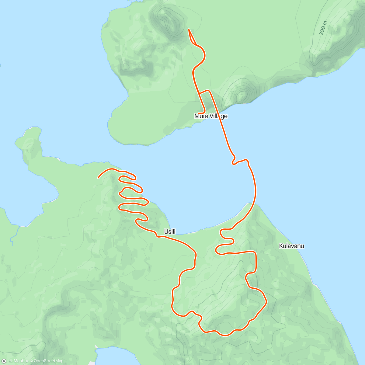 Карта физической активности (Zwift - 03. Cadence and Cruise in Watopia)