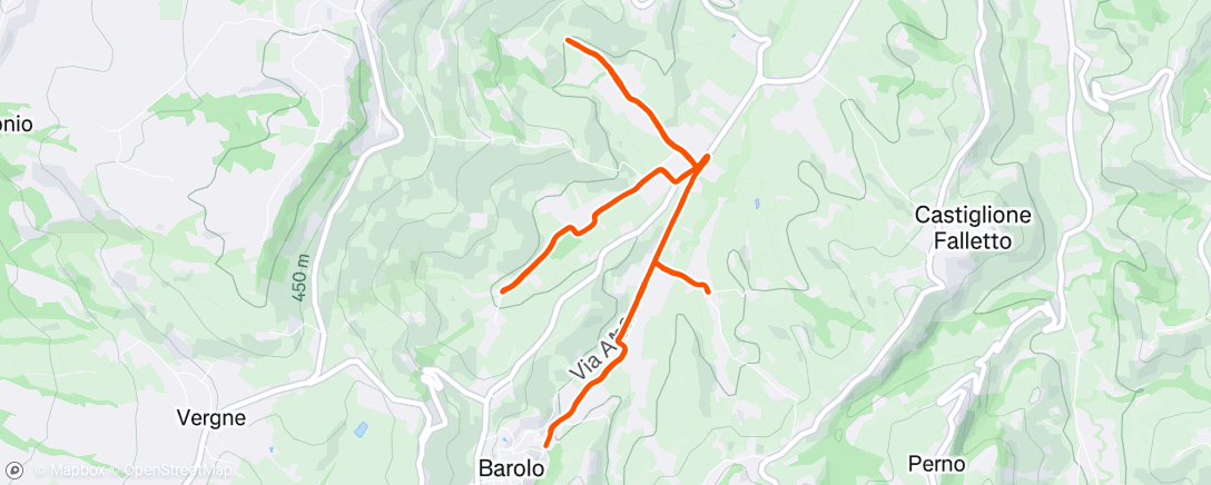 Map of the activity, Afternoon Run