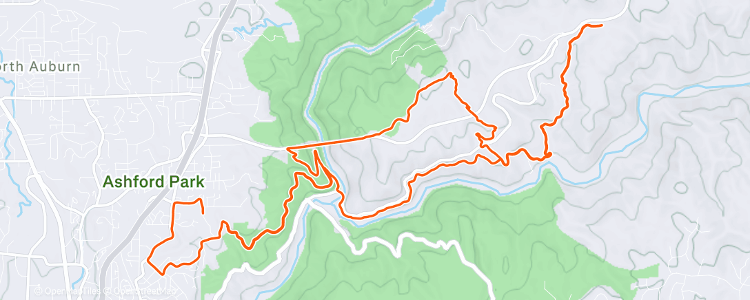 Mappa dell'attività Lunch Run