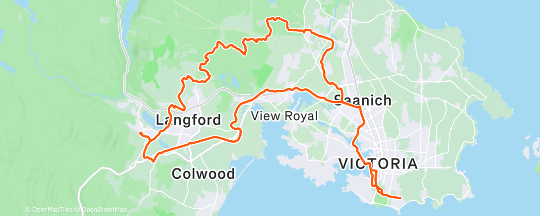 Mappa dell'attività TS Vit D: Happy New Years Adventures!