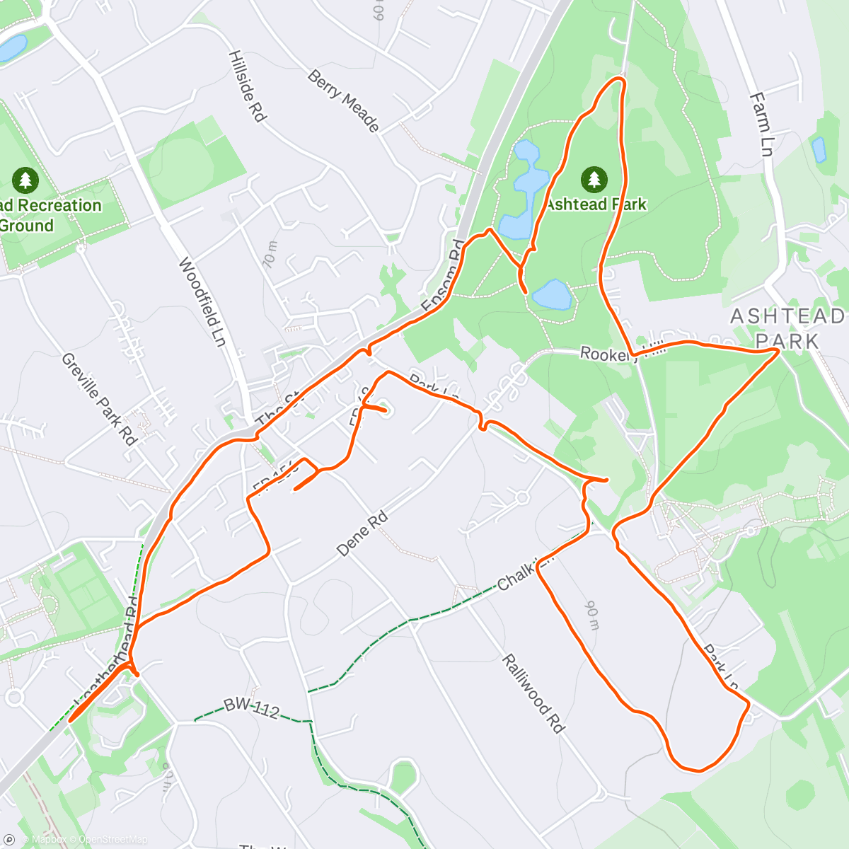 Map of the activity, Mole Valley O Event