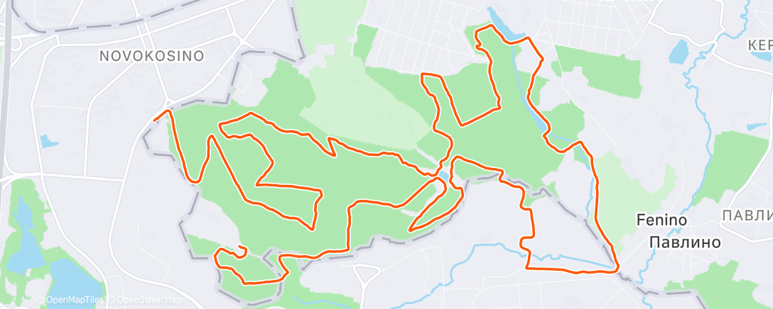 Map of the activity, Ночной забег