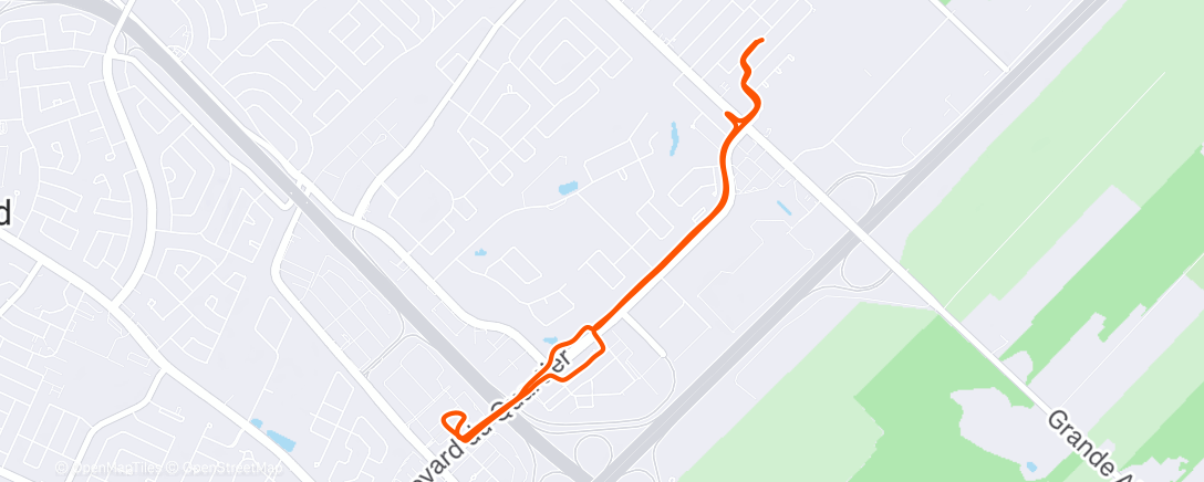 Карта физической активности (Morning Run)