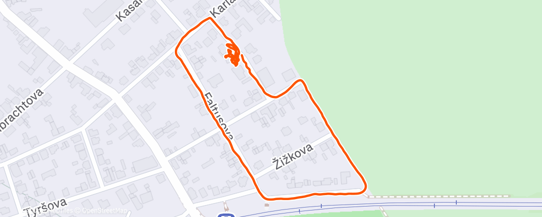 Карта физической активности (Morning Walking the dog 🐕)