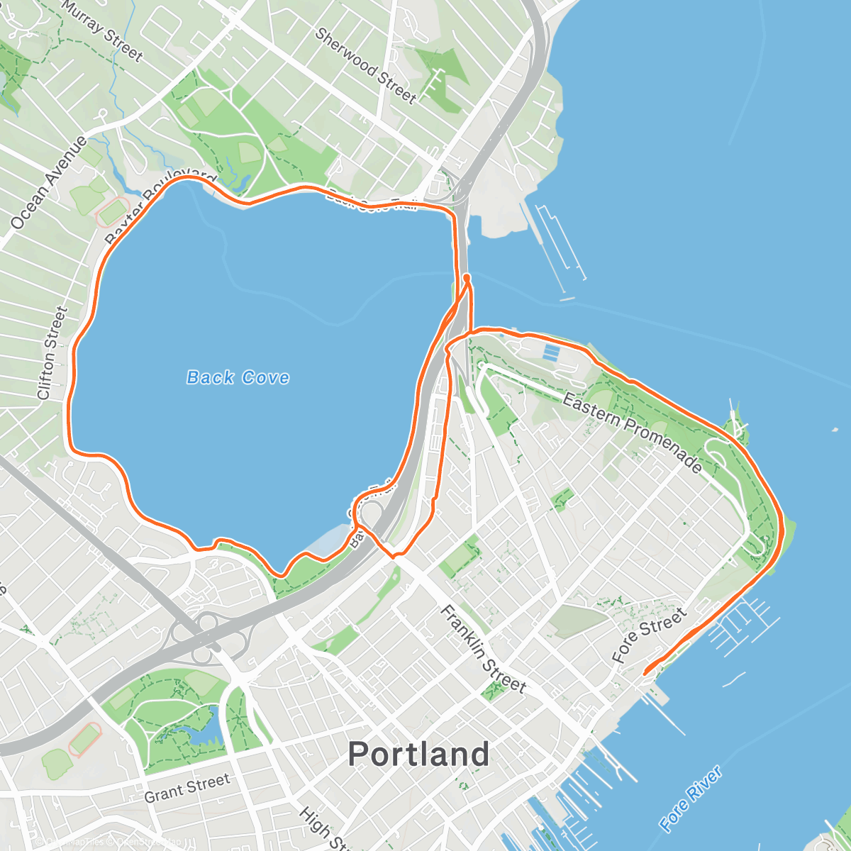 Adrian Mak | Strava Runner Profile