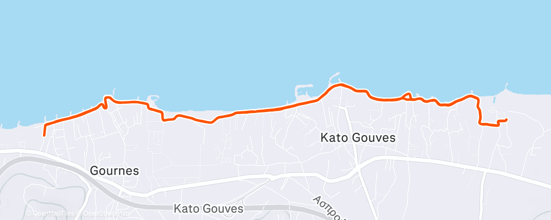 Карта физической активности (Morning Run)