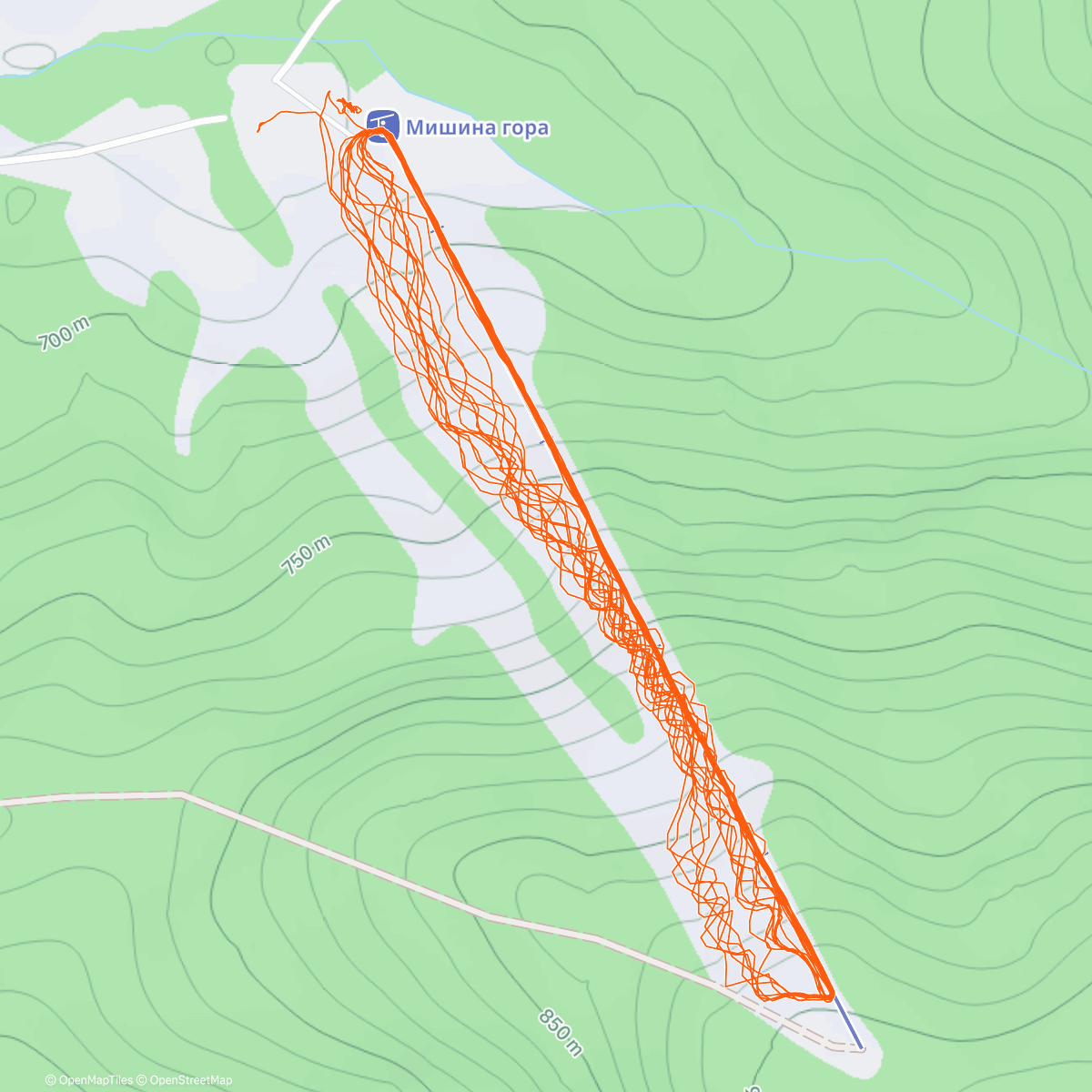 Карта физической активности (Мишина гора, норм)