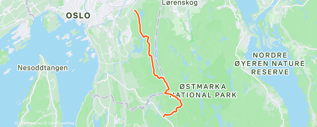 Map of the activity, 🌲 → 🎄