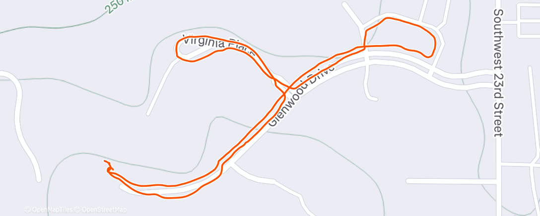 Карта физической активности (Afternoon Walk)