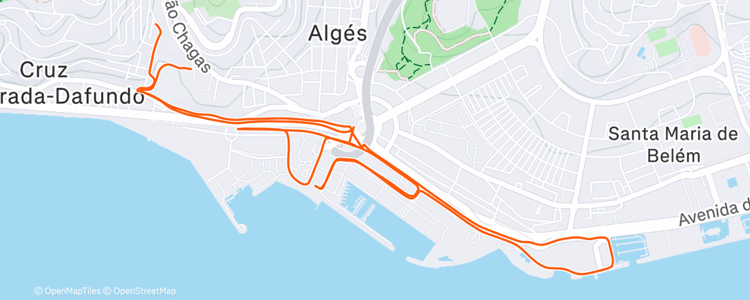 Карта физической активности (Z3 Waves 5' Short Rec.)