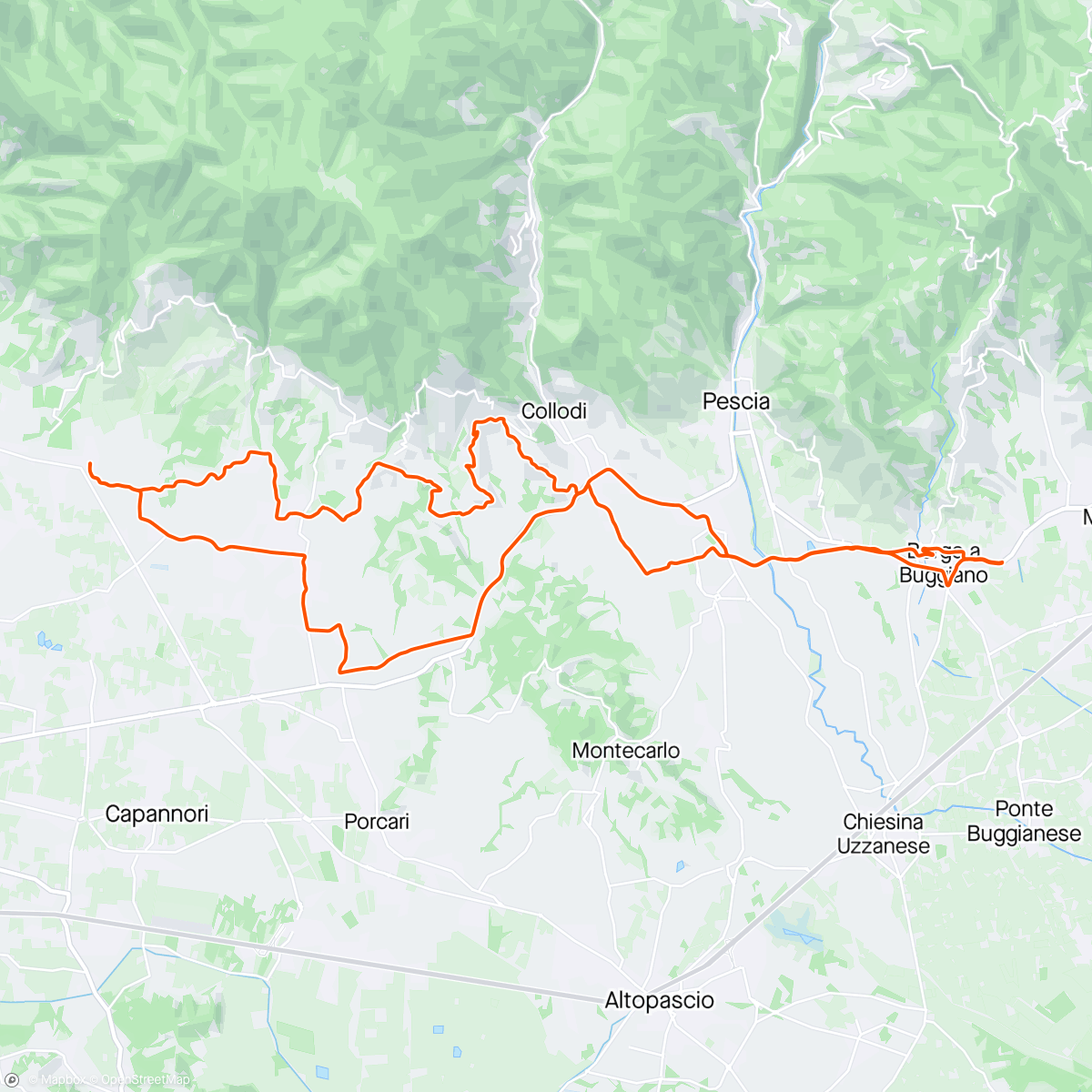 Map of the activity, San Gennaro Camigliano Marlia Collodi Buggiano