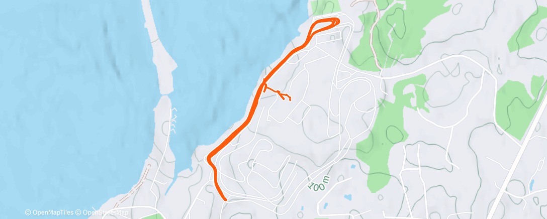 Map of the activity, Беговые лыжи